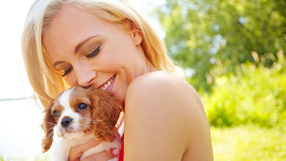 3 Dog Breeds for First-Time Owners