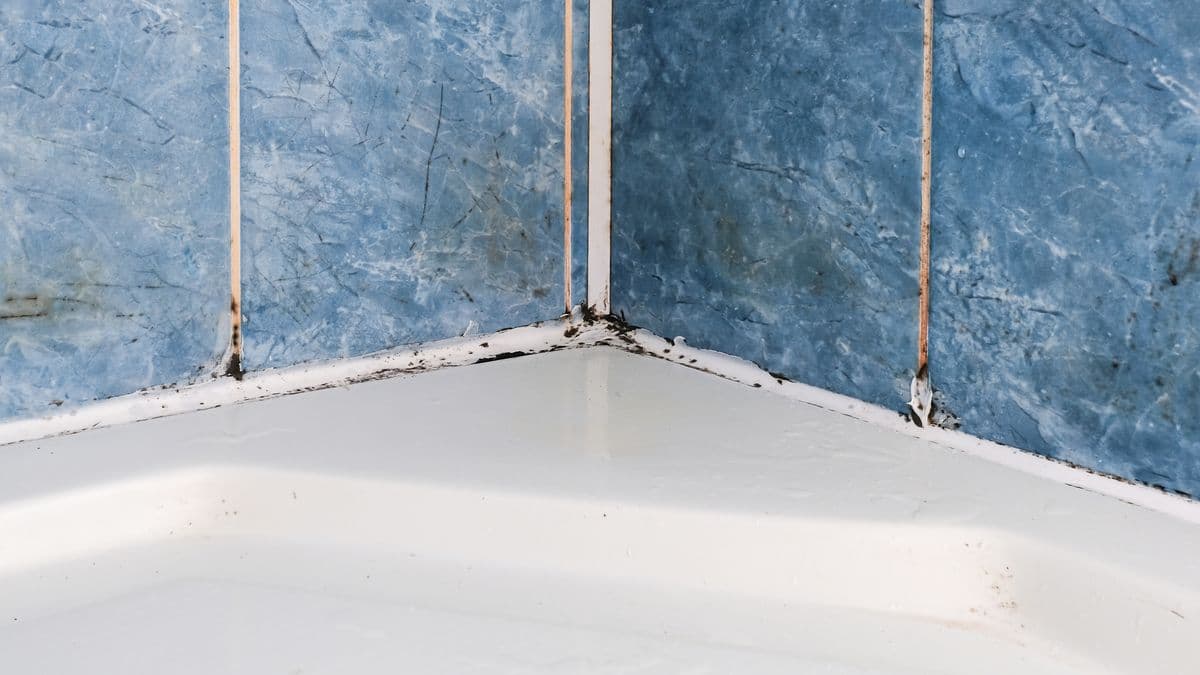 Remove Black Mould from Sealants in 5 Minutes with a Natural Item