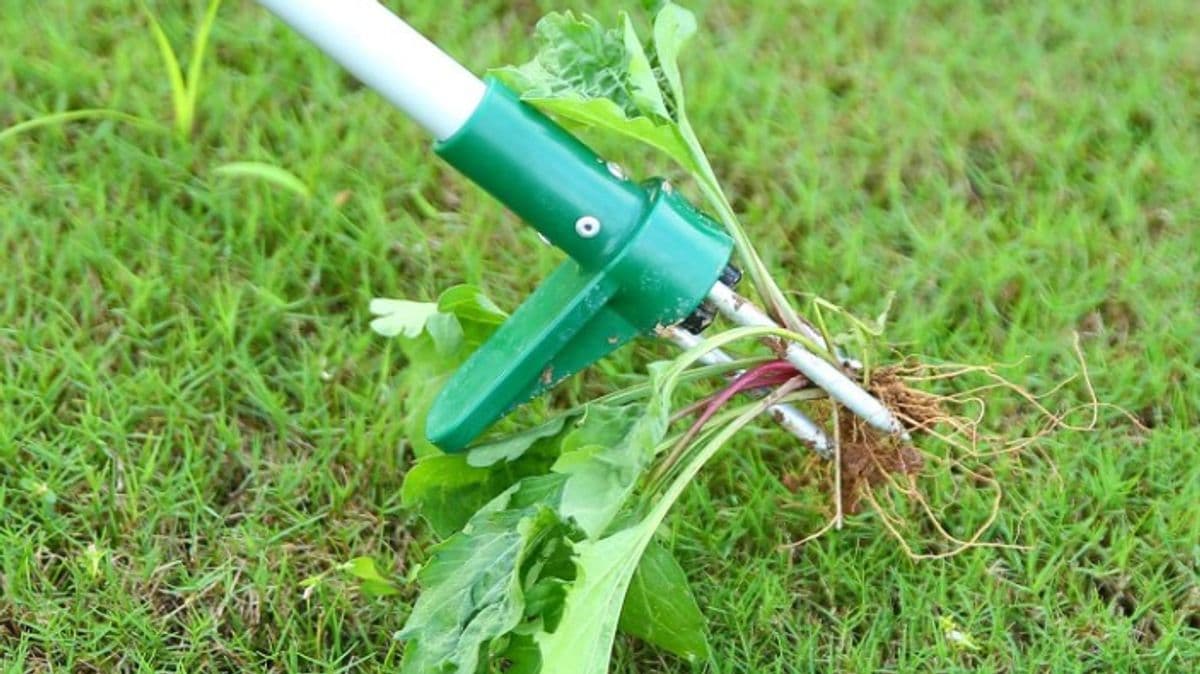 Best garden tool has 26% off