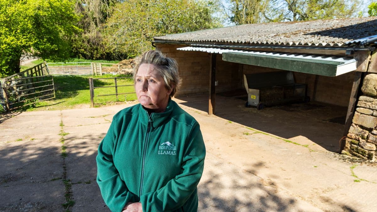 TB Outbreak Kills Eight Llamas, 27 Isolated