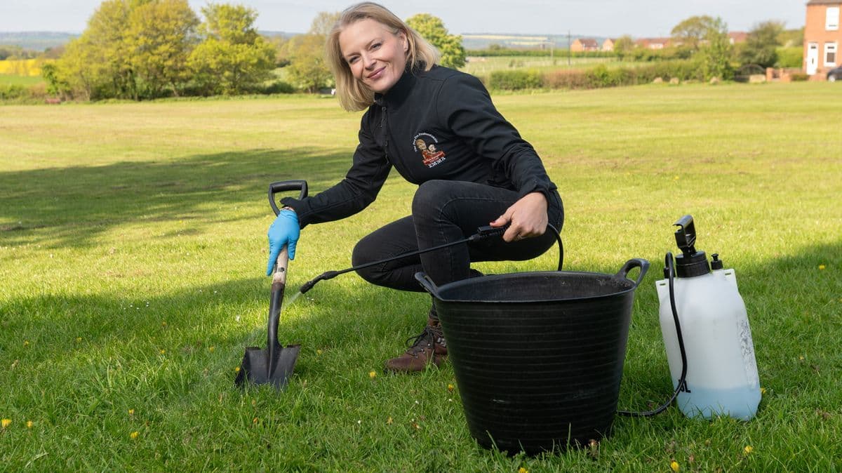 Woman Quits Stressful Job to Pick Up Dog Poo and Now Earns Five Times More
