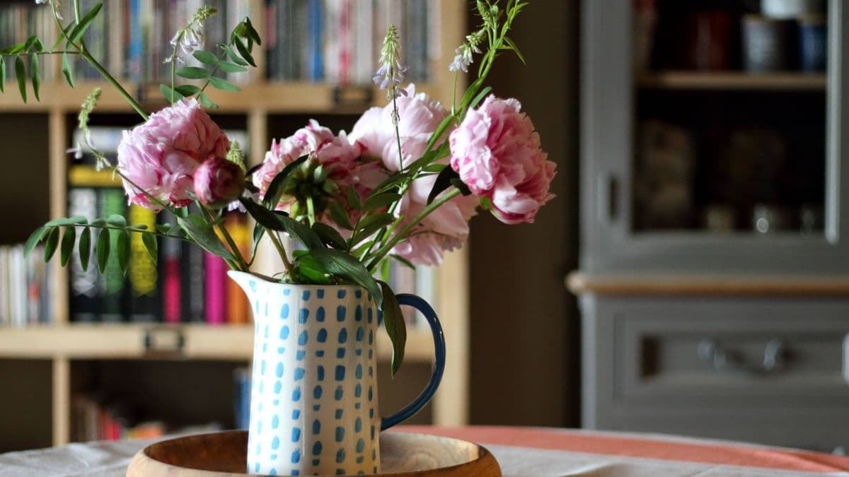 Care for Peonies and Make Them Last Longer