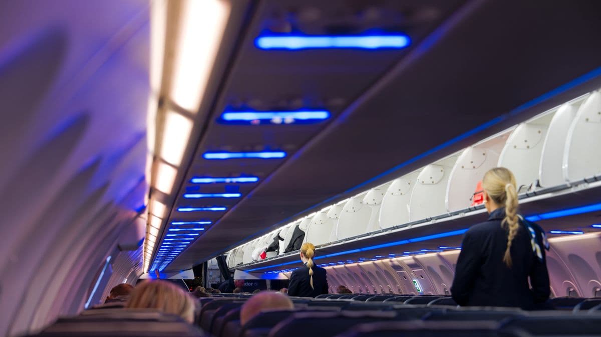 5 Simple Things Flight Attendants Love