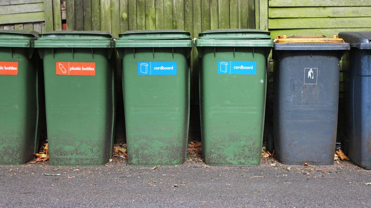 Stop Flies from Laying Eggs in Your Wheelie Bin with One Simple Item