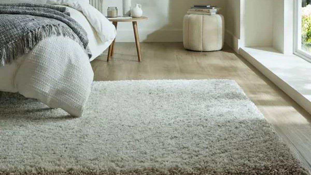 Shoppers rush to buy this bestselling shaggy rug at its lowest price