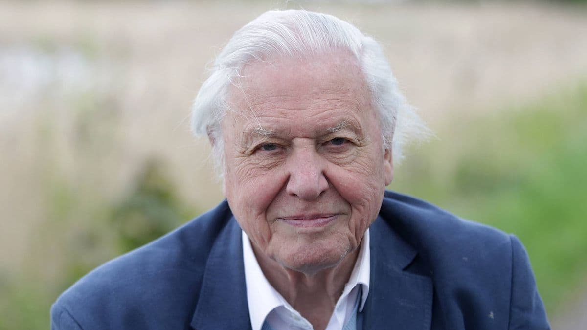 David Attenborough gives garden tip