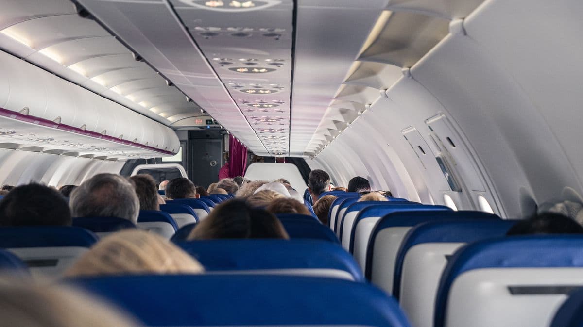 UK Government Updates Rules for Pets on Planes
