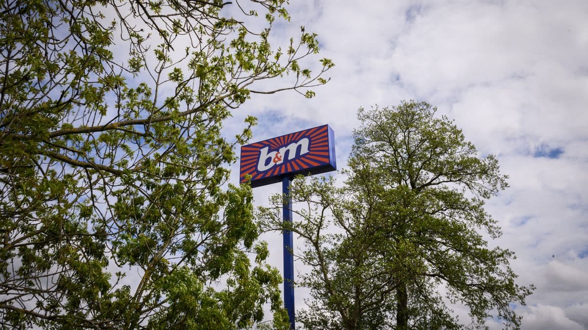 B&M Sells Colorful Garden Lights for Summer