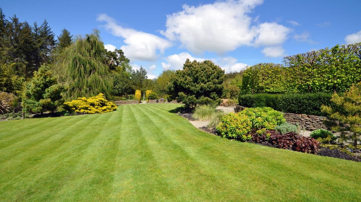 Help Your Lawn Grow with a Common Bathroom Item