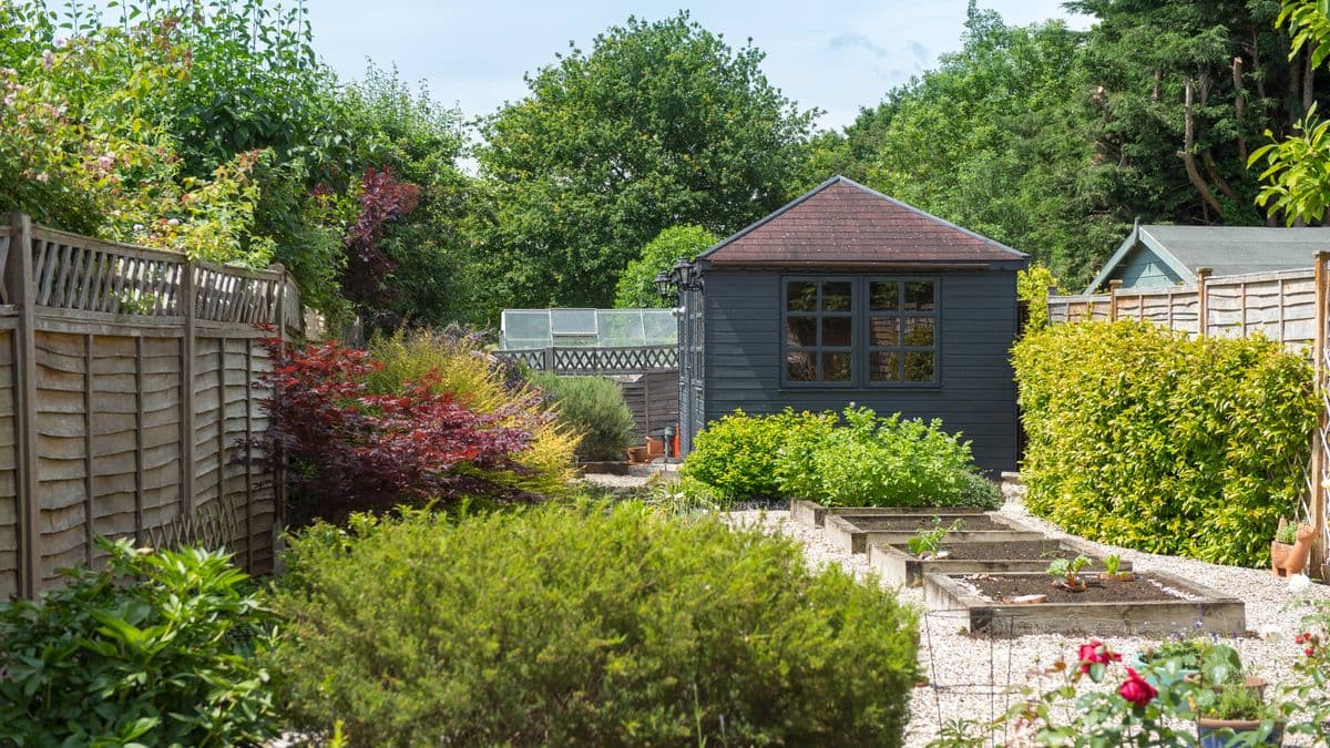 Help Your Garden Survive the Heat