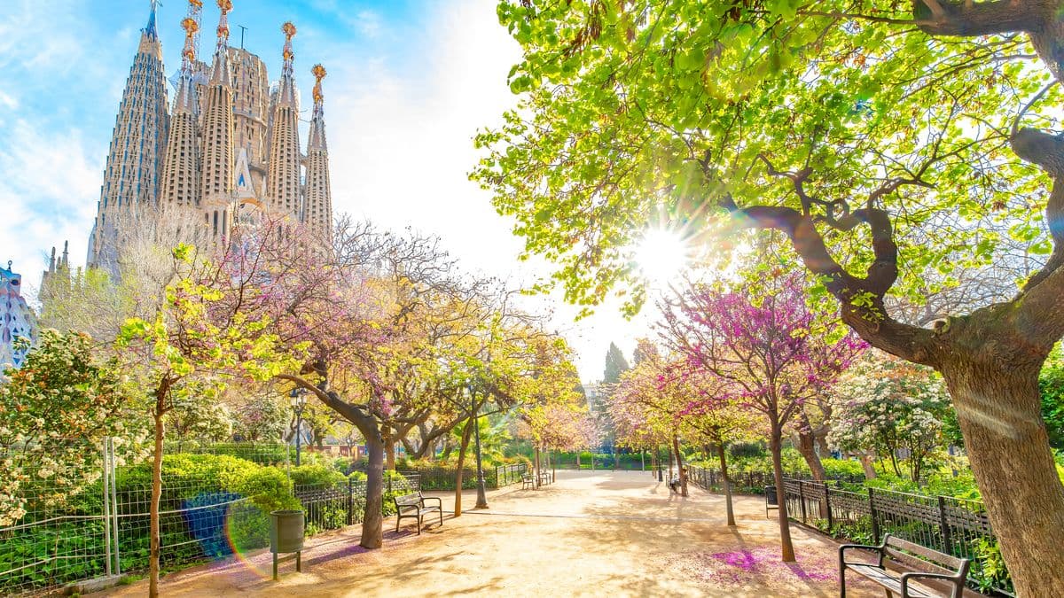 UK Tourists Warned to Be Careful of Diseases in Spain