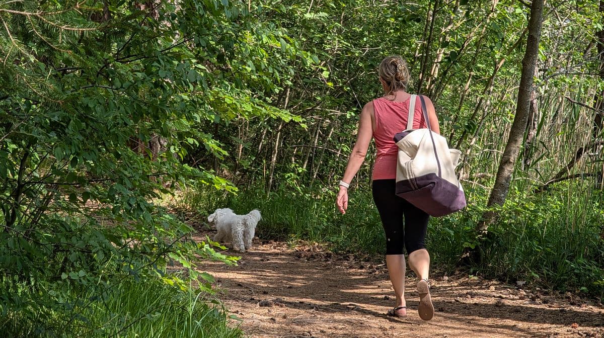 New UK Law: Dog Owners Could Face Big Fines