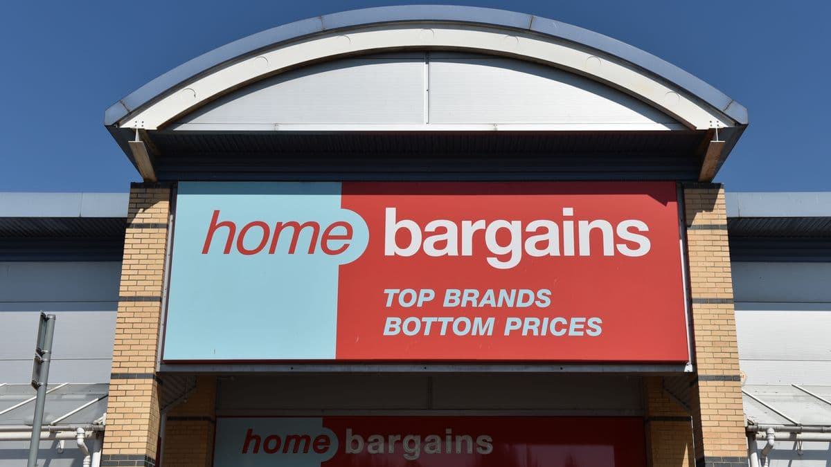 Add Simple Elegance to Gardens with £13 Home Bargains Item