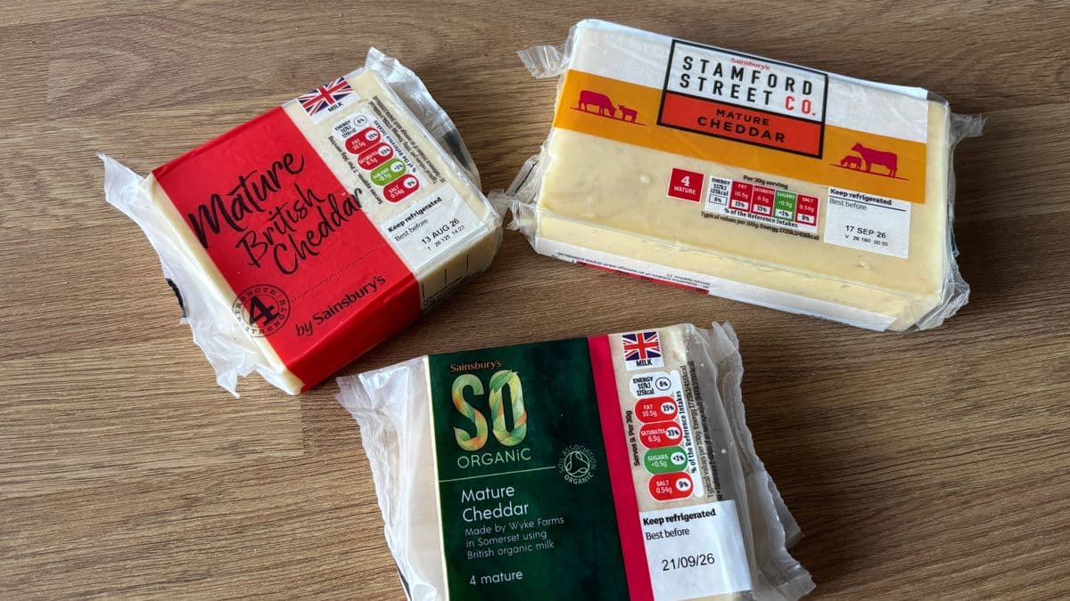 I tried Sainsbury's organic, standard and budget cheddar – I'd never buy 1 again