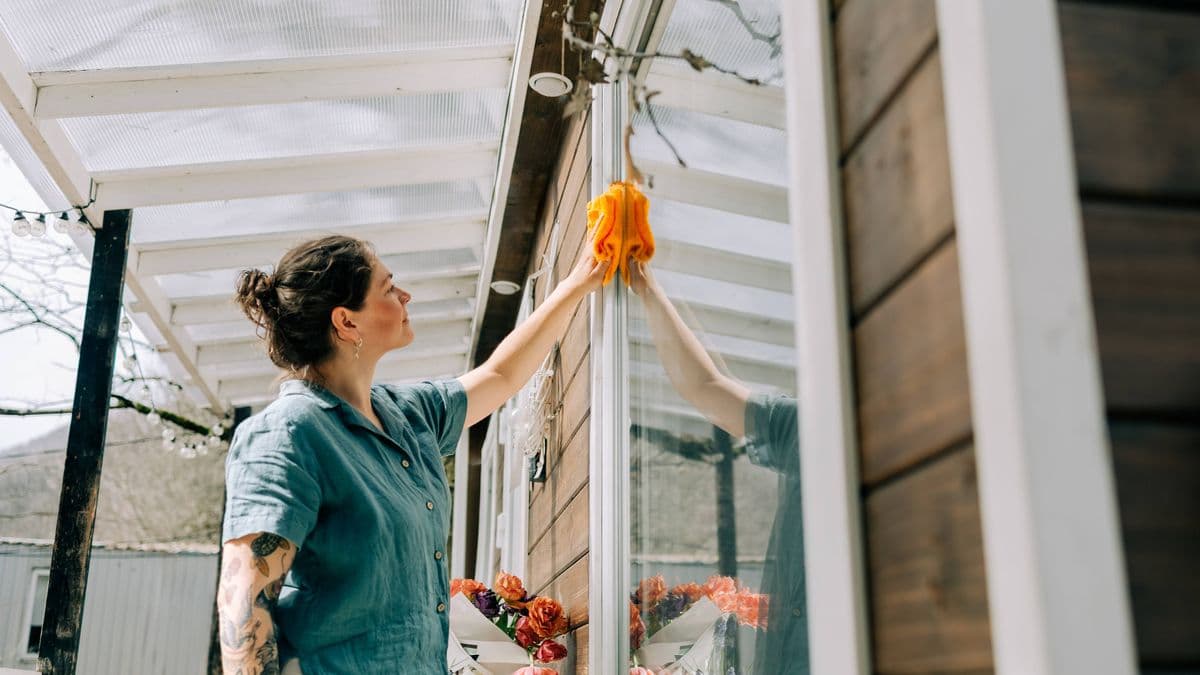 Clean Your Windows with a 89p Item from Your Cupboard