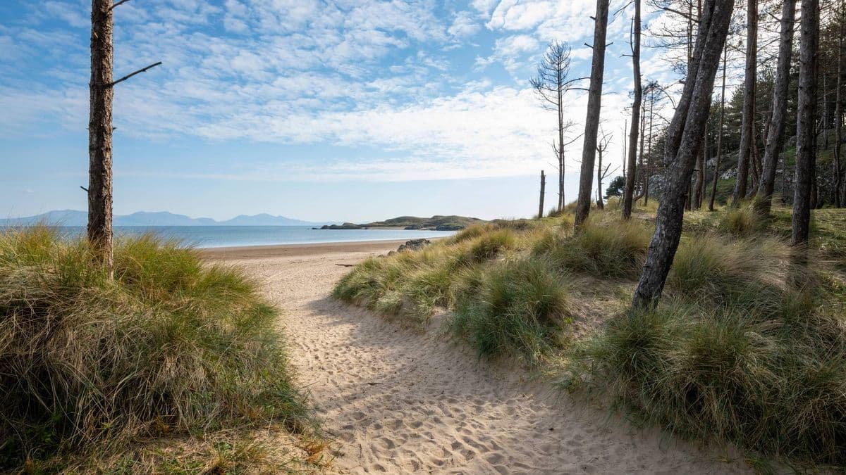 I Visited the Best Beach in the UK, But What Happened 2 Miles Away Was More Memorable