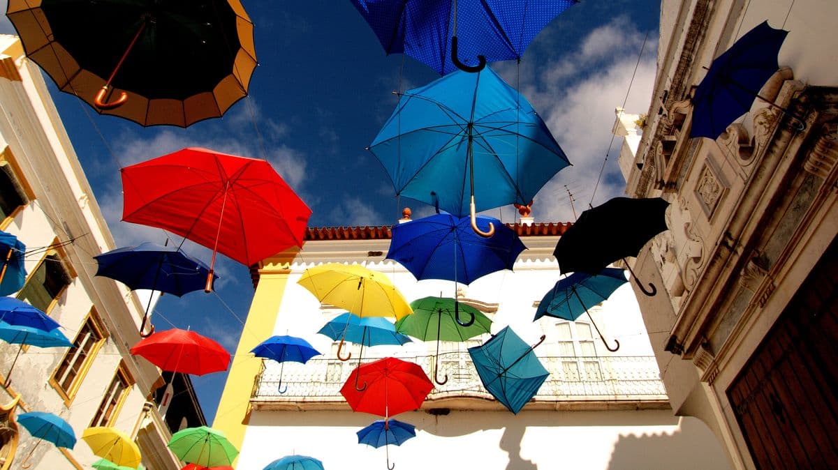 Discover Portugal's Hidden Food Gem