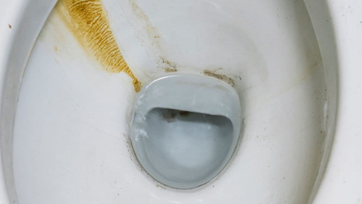 Keep Your Toilet Clean with One Simple Task