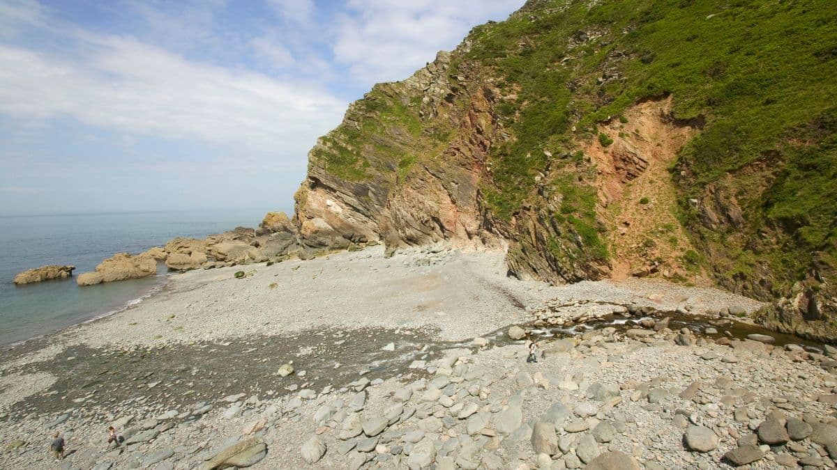 A Hidden Beach in the UK is Great for Bird Watching