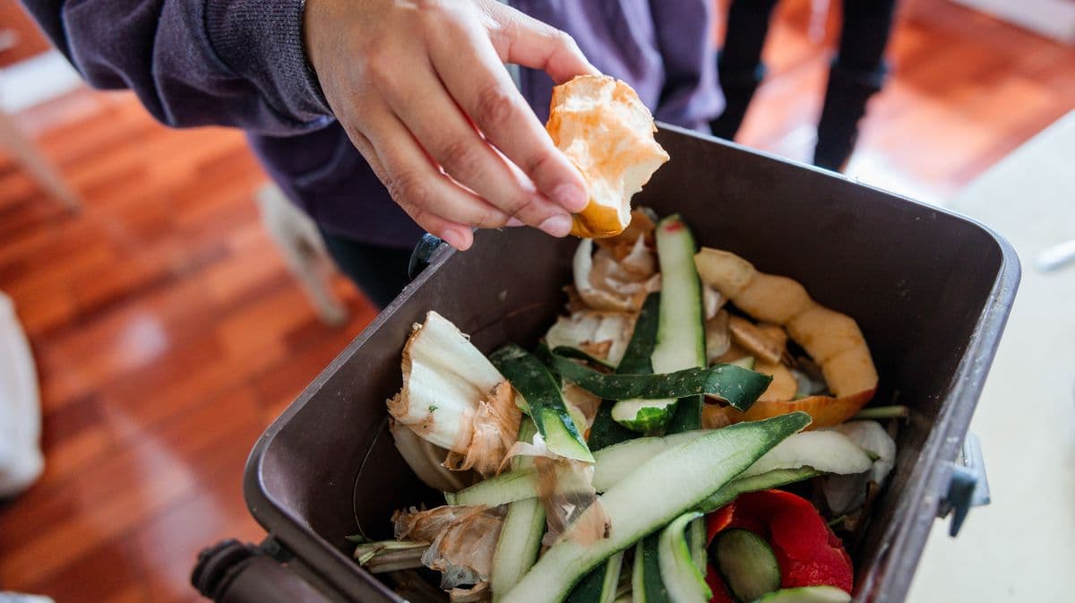 Help to Stop Bad Smells from Food Bins