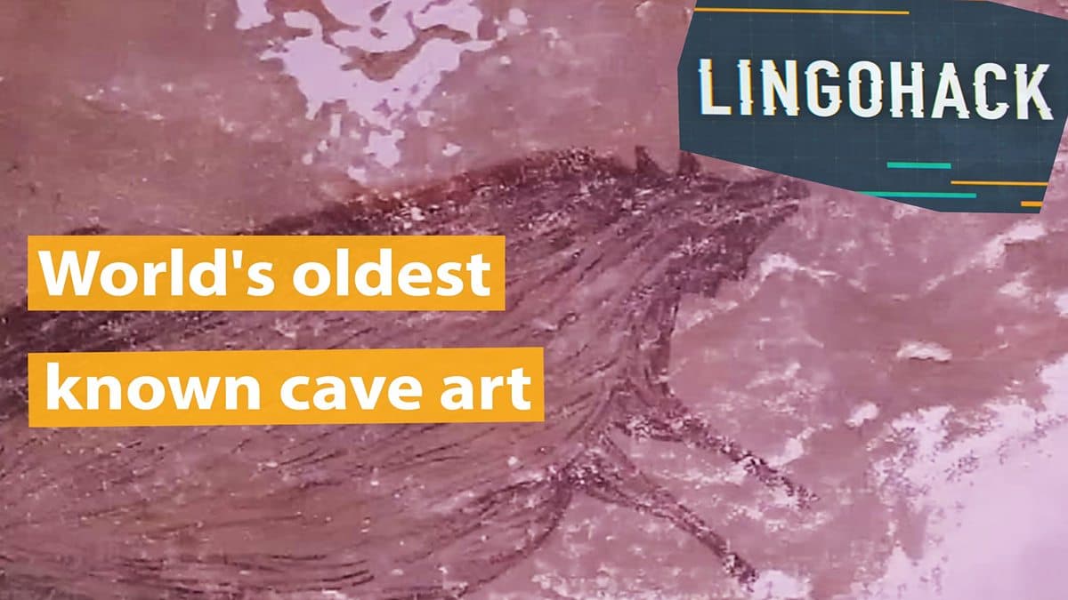 The World's Oldest Cave Art