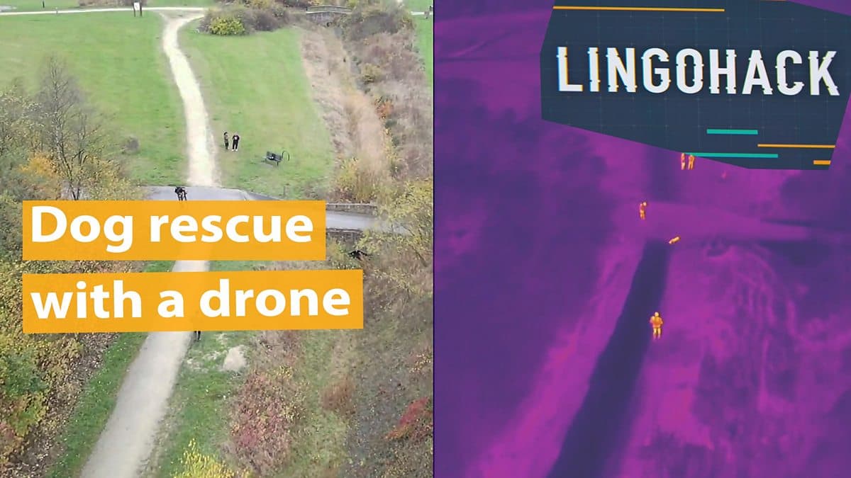 Dog rescue with a special drone