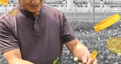 The Korean Man Who Makes A Lot Of Money From Leaves