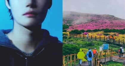 Hyunwoo’s Knife Chase Highlights Growing Safety Concerns on Jeju Island
