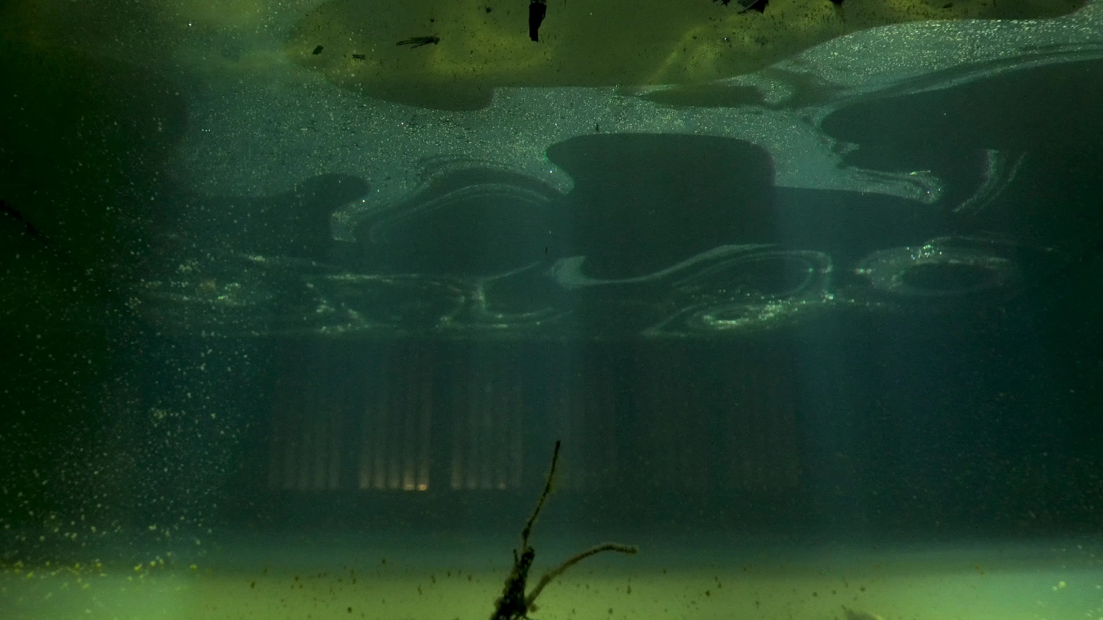 Quế's Artistic Exploration of Water, Trauma, and Memory