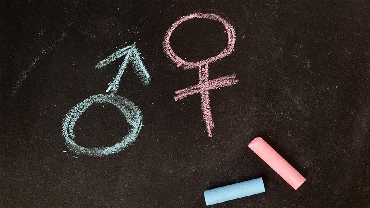Detransitioners Share Their Stories of How Doctors Encouraged Them to Undergo Life-Changing Treatments as Teens