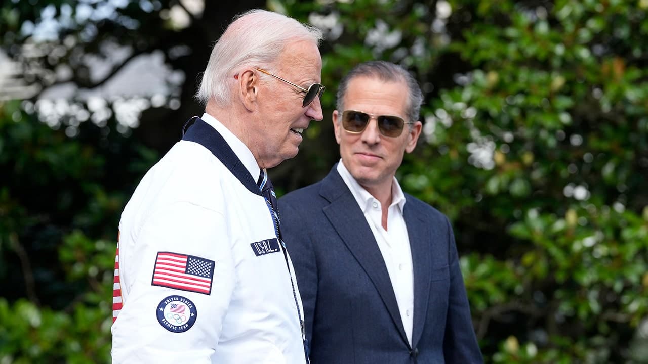 Hunter Biden Did Not Want His Father to Run Again