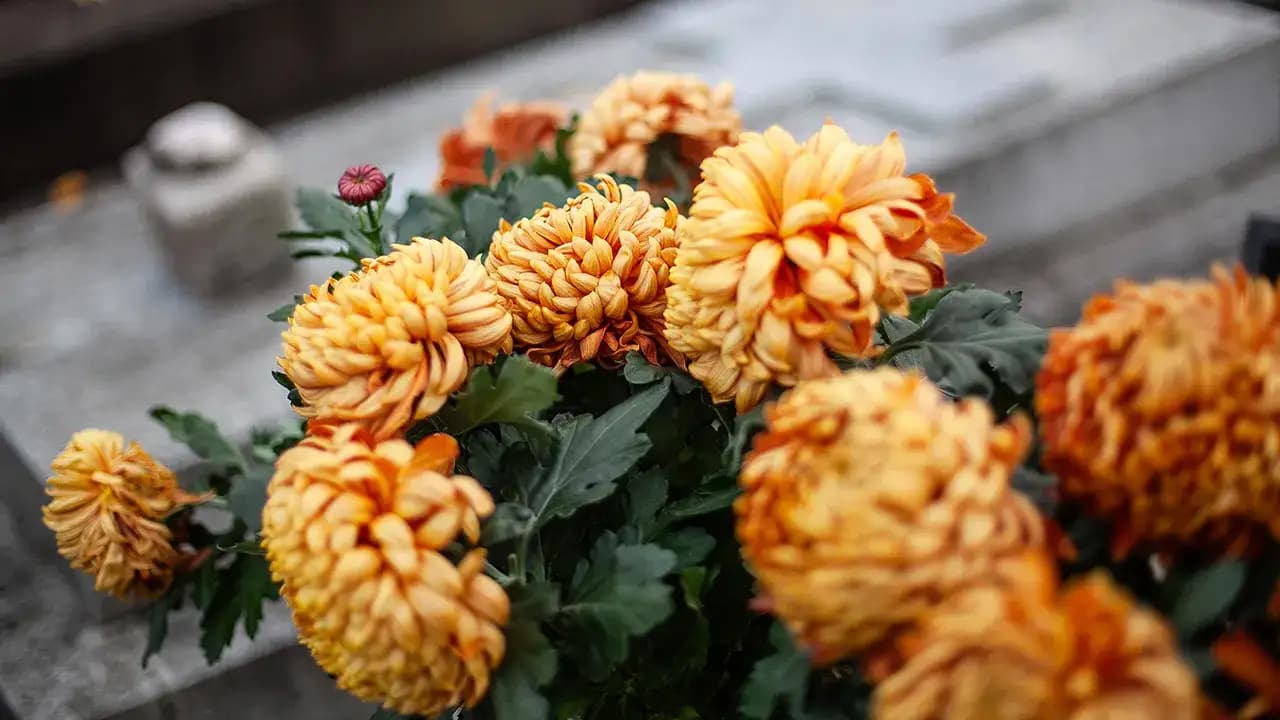 What Scammers Do After Your Spouse Dies