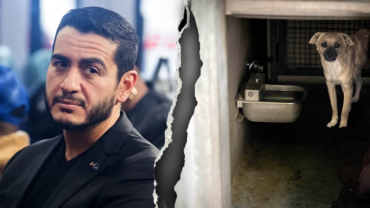 El-Sayed Faces Criticism Over Animal Control Record
