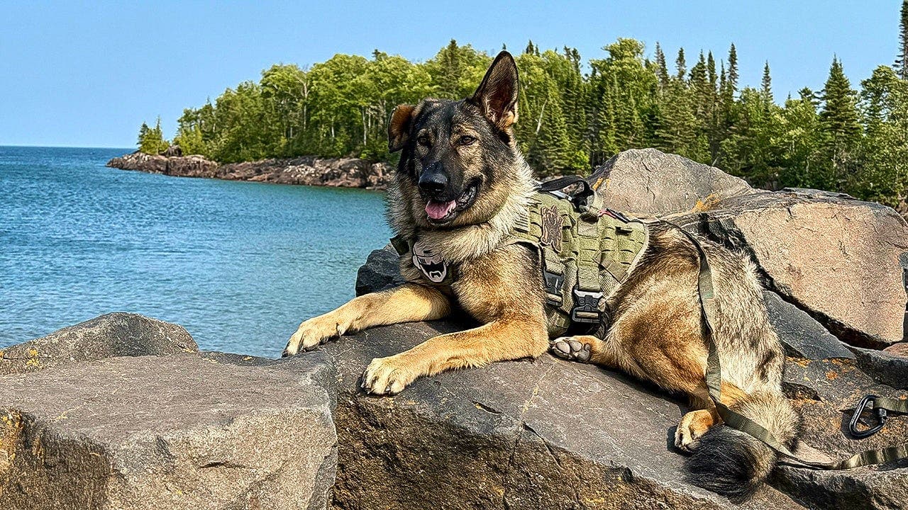 The ultimate dog‑friendly road trip on Minnesota's North Shore from Duluth to Grand Marais