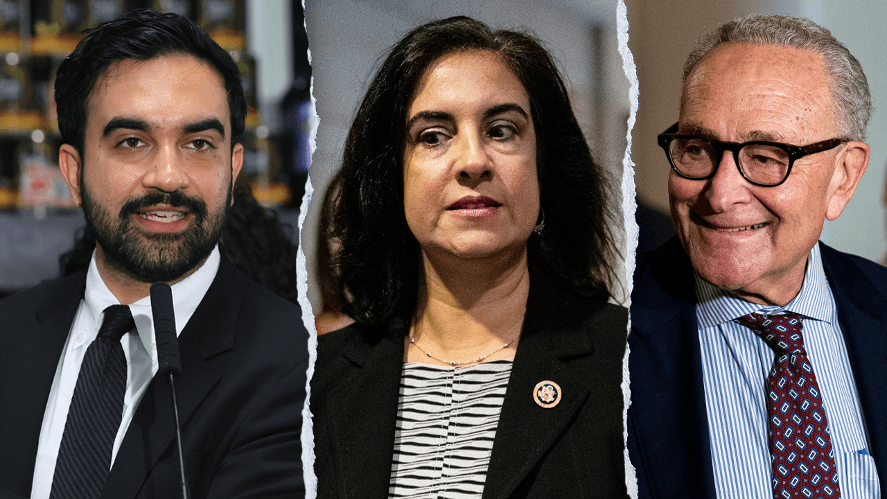 New York City's Only Republican in Congress Accuses Democrats of Hypocrisy Over Voter ID