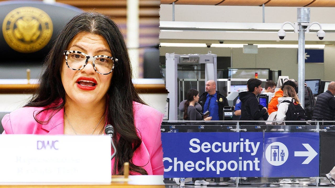 Tlaib Tries to Stop ICE Arrests at Airports