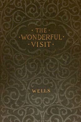 The Wonderful Visit