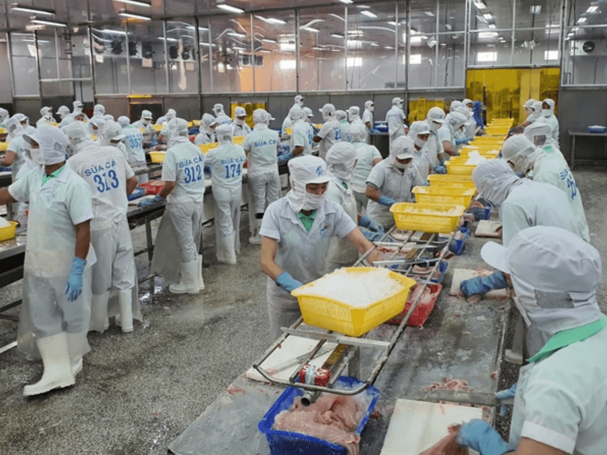 Why factories in Can Tho are running out of workers