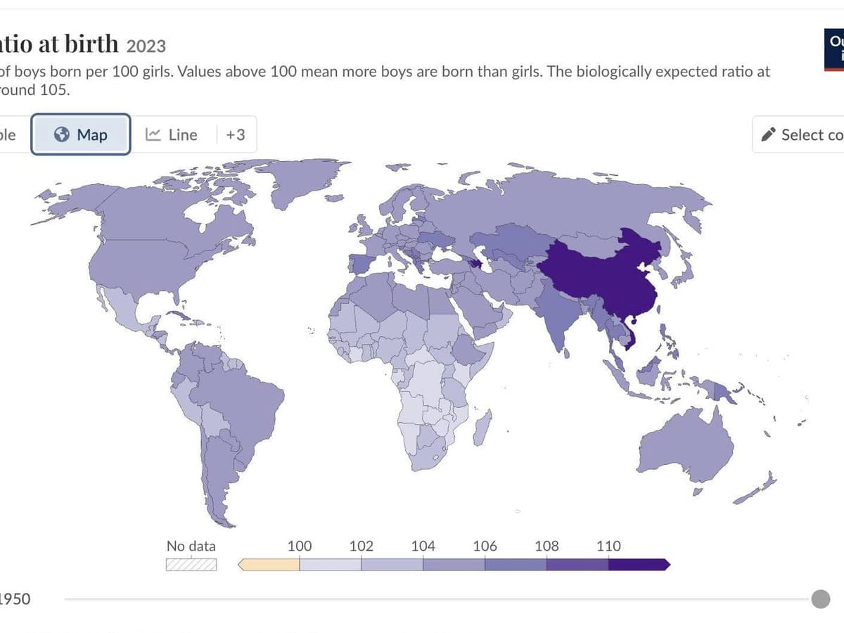 Missing Girls May Shrink the Pool of Future Wives in Vietnam
