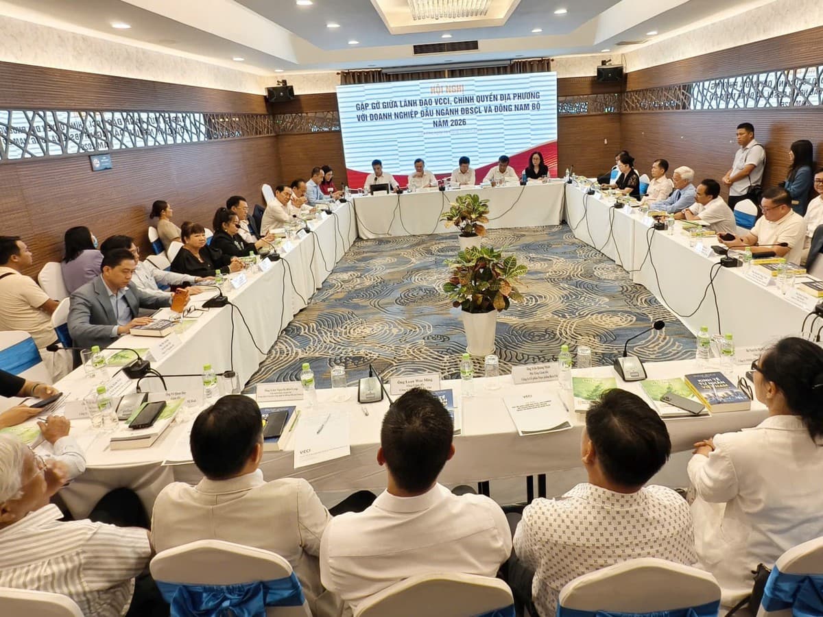 Why the Mekong Delta Has Not Grown New Large Companies in Two Years