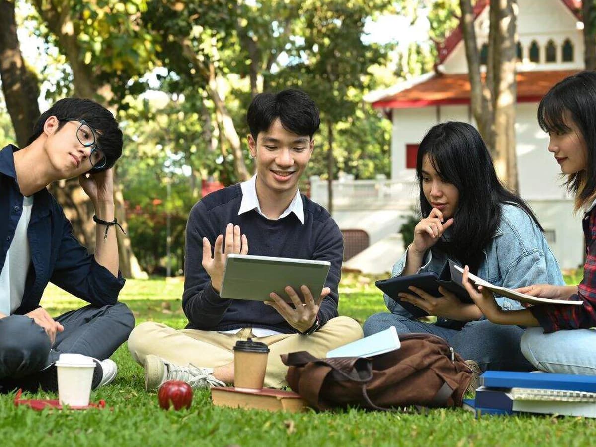 2027 New Zealand Scholarships Can Cut Study Costs for Vietnamese Students