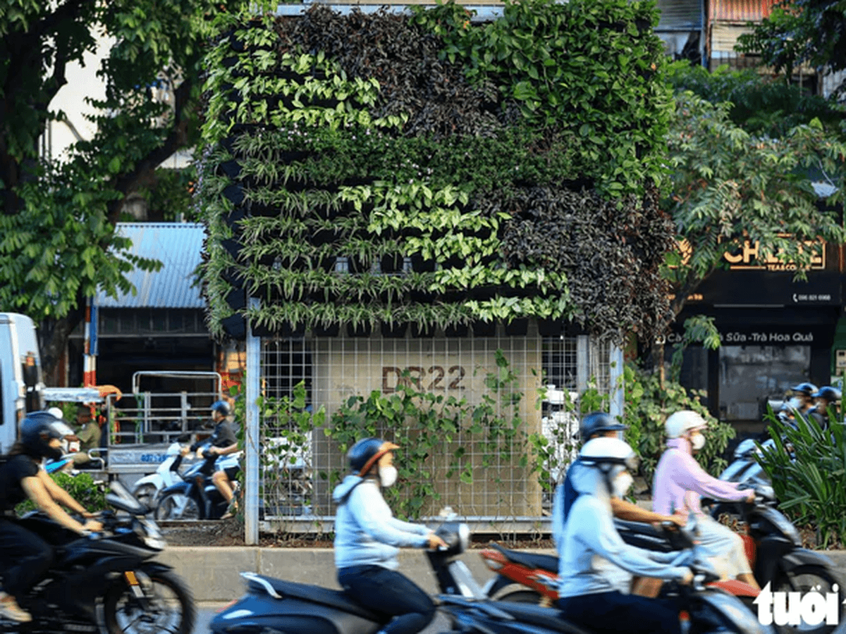 How Green Walls on Hanoi’s Concrete Can Help the City