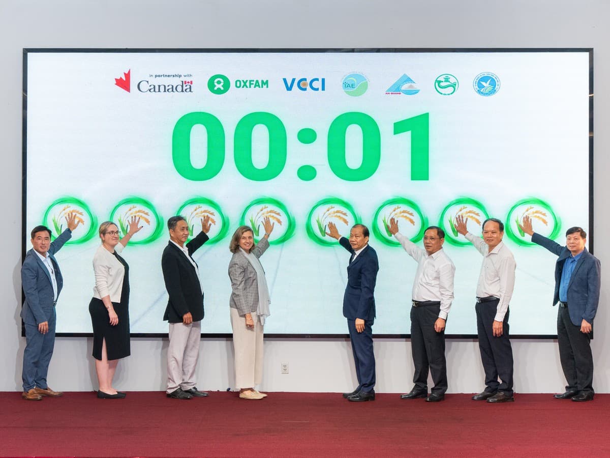 Designing Climate‑Smart Rice Projects for Inclusive Impact and Carbon Cuts
