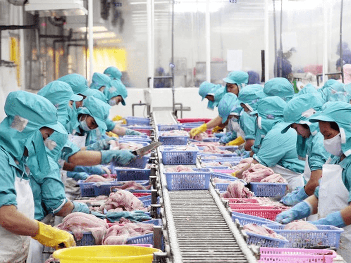 Why Stable, Well‑Paying Jobs Matter for the Mekong Delta and Your Future