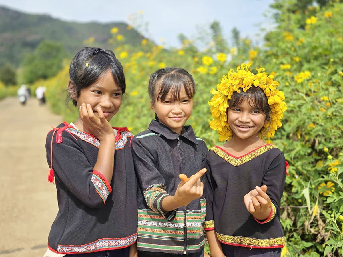 Why the Gong Festival and Wild Sunflower Week are held in Gia Lai