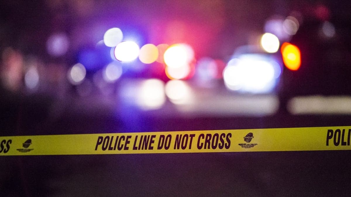 Teenager Used AI Chatbot Before Killing Family Members