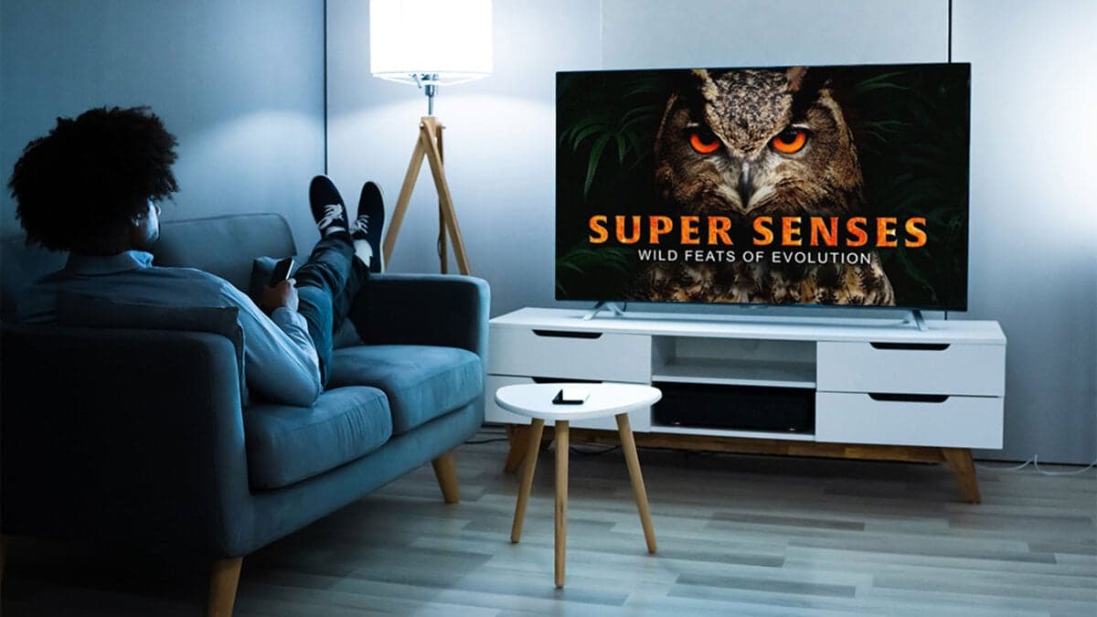 Pay Once to Watch 4,000+ Documentaries Forever