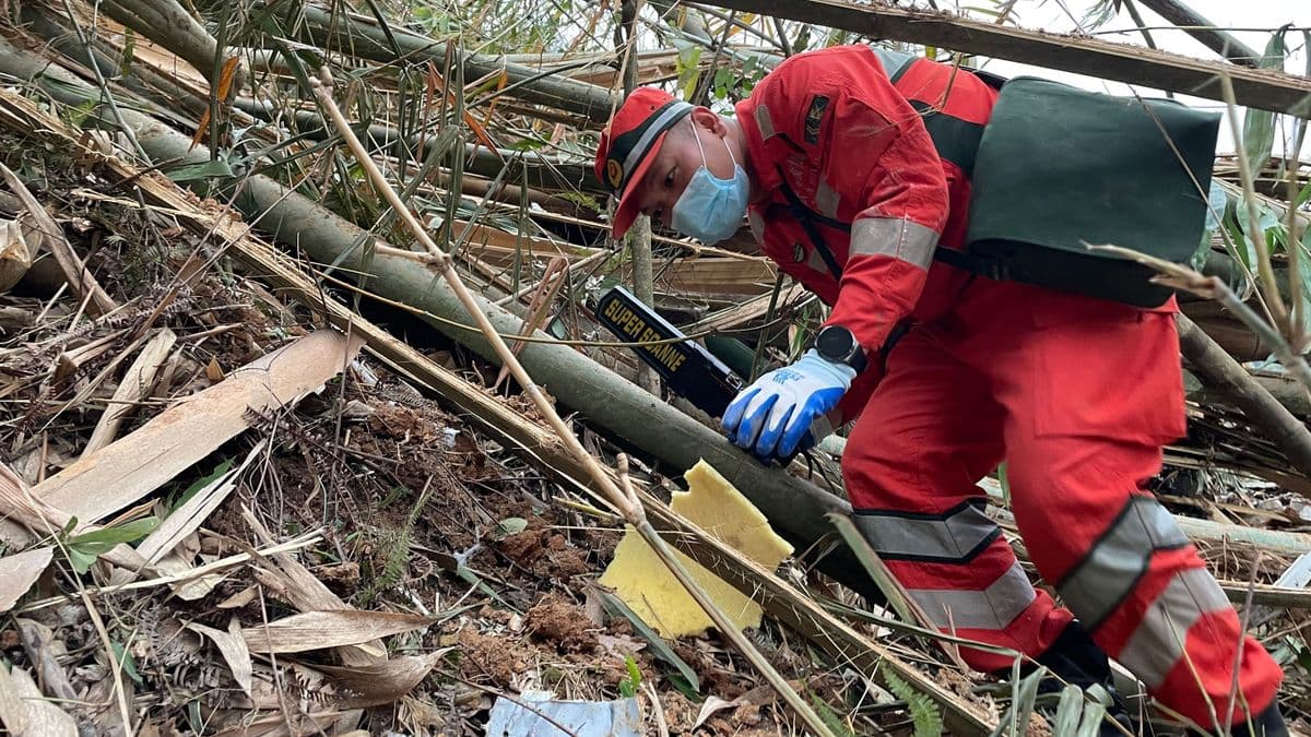 'Plane did what it was told to do' in horror crash which killed all 132 on board