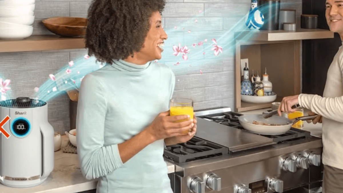 Breathe Easy with This Affordable Air Purifier