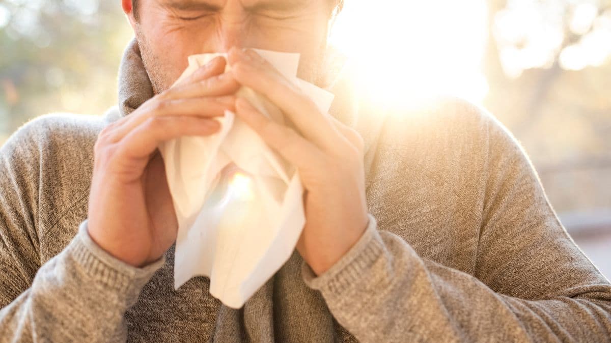Hay fever sufferers warned about 5 trees as 'tree pollen season worse'